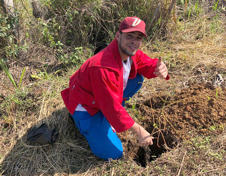 “Sambo forest” planted in Colombia – BOEC.COM