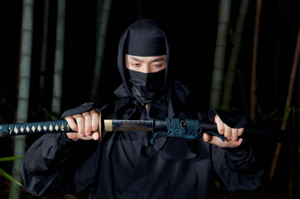 Truth About Ninja (Part 1) –